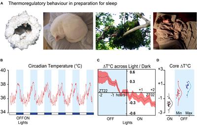 The Temperature Dependence of Sleep